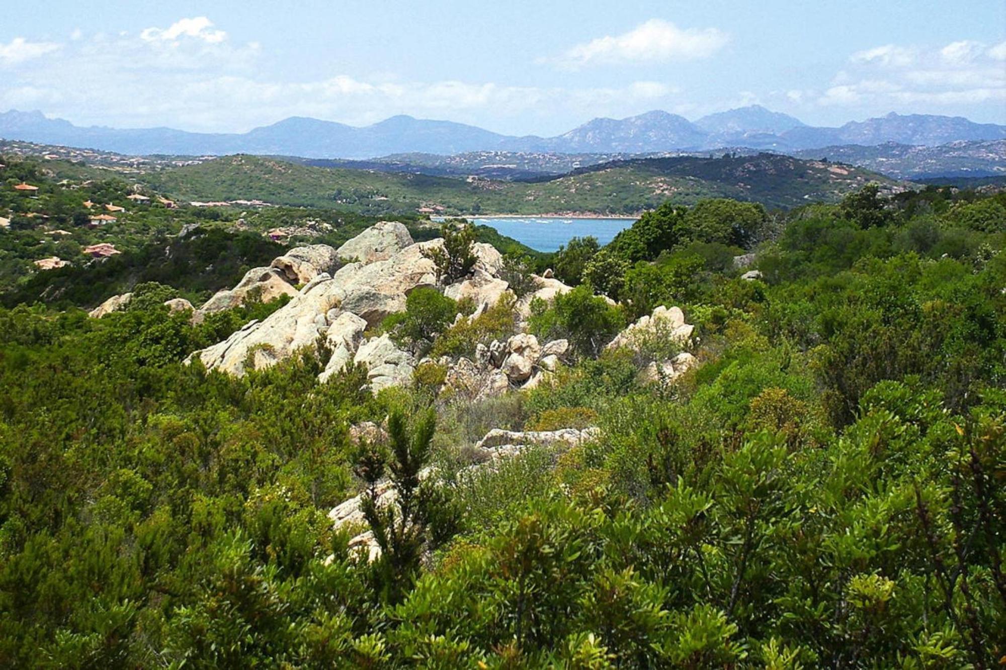 Residence La Tartaruga Monte Petruso San Teodoro 圣特奥多罗 外观 照片