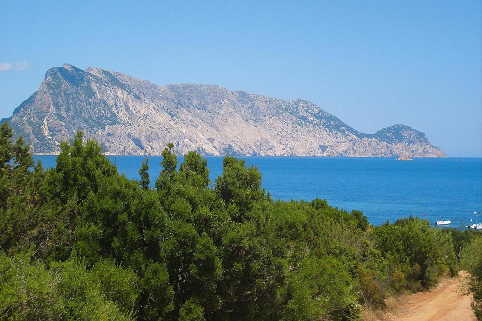 Residence La Tartaruga Monte Petruso San Teodoro 圣特奥多罗 外观 照片